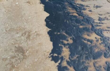آلودگی نفتی ساحل گناوه